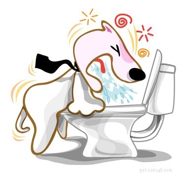 What to Give Your Dog to Stop Vomiting: Safe, Proven Remedies