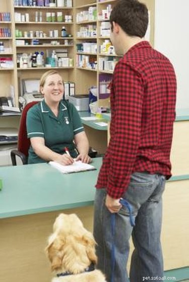 Optimal Nutrition for Dogs with Kidney Failure