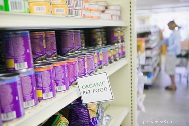Top Dog Foods for Managing Diabetes: Nutrition & Comfort