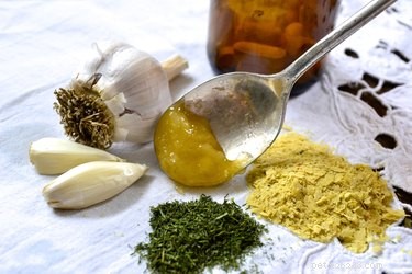 Safe, Natural Alternatives to Antibiotics for Your Dog
