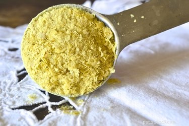 Safe, Natural Alternatives to Antibiotics for Your Dog