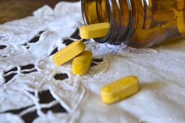 Safe, Natural Alternatives to Antibiotics for Your Dog