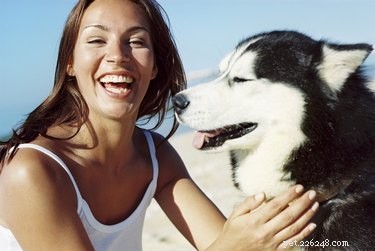 Understanding Facial Hair Loss in Dogs: Causes & Solutions