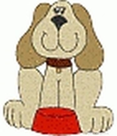 Is Cream of Wheat Safe for Dogs? Expert Advice & Feeding Tips