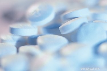 Safe OTC Options to Relieve Your Dog’s Arthritis Pain
