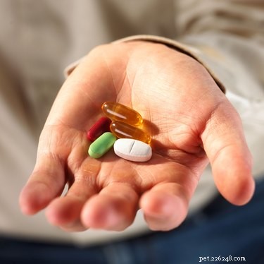 Safe OTC Options to Relieve Your Dog’s Arthritis Pain