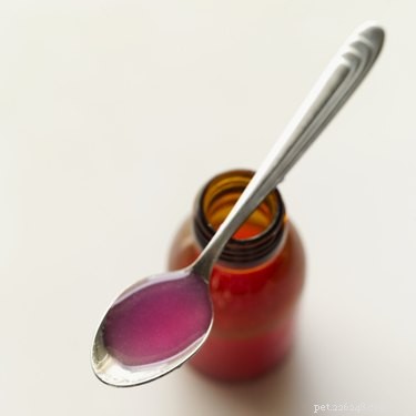 Cough Medicine for Dogs: What’s Safe and Effective