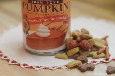 Safe Pumpkin Treatment for Your Dog’s Diarrhea