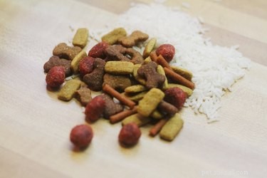 Safe Pumpkin Treatment for Your Dog’s Diarrhea