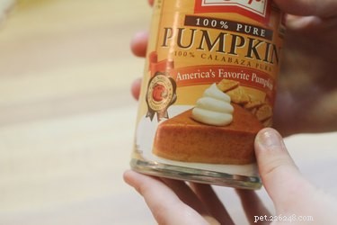 Safe Pumpkin Treatment for Your Dog’s Diarrhea