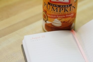 Safe Pumpkin Treatment for Your Dog’s Diarrhea