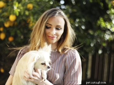 Understanding the Causes of Dizziness in Dogs