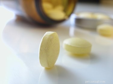 The Right Aspirin Dosage for Dogs: Safe Pain Relief Tips