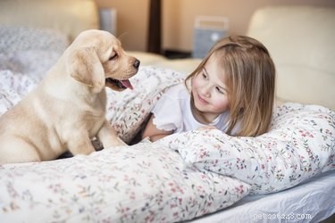 How to Time Your Puppy’s First Vaccinations: A Trusted Guide