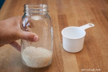 Effective Boiled Rice Remedy for Dog Diarrhea: Quick Relief & Vet‑Approved Guide