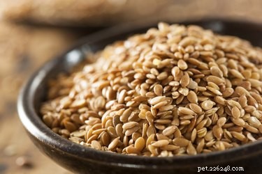 Flaxseed Benefits for Dogs: A Vet-Approved Guide to Safe Usage