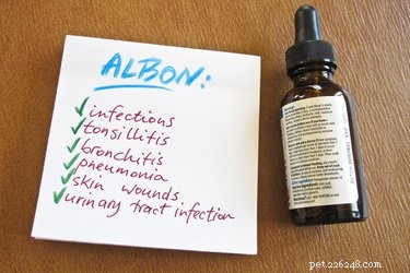 Albon for Dogs: How It Treats Infections and Parasites