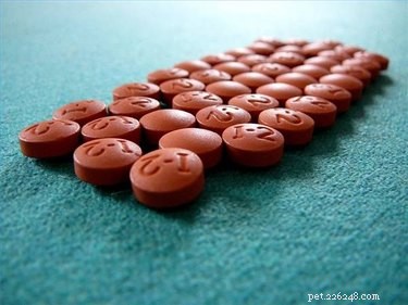 Can You Safely Use Ibuprofen to Treat Your Dog’s Hip Pain?