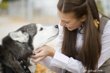 Recognizing Intestinal Parasite Symptoms in Dogs: A Vet‑Approved Guide