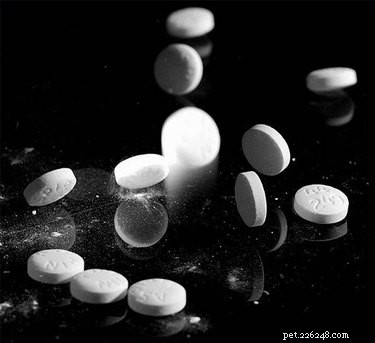 Safe Human Medications for Dogs: A Vet‑Approved Guide