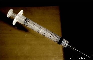 How to Safely Administer a Parvo Vaccine to Your Dog