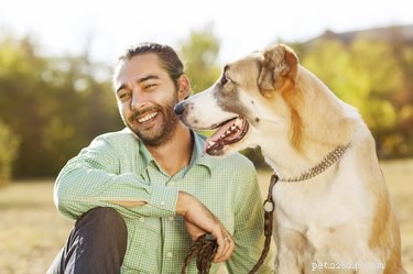 Understanding Bipolar Disorder in Dogs: Symptoms, Diagnosis, and Treatment