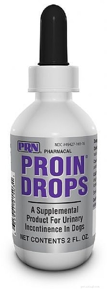 Proin for Canine Urinary Incontinence: Vet‑Approved Treatment Guide