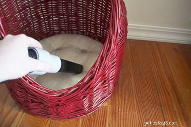 Effective Home Remedies to Eliminate Fleas from Dogs