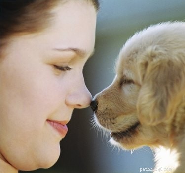 When to Begin Heartworm Prevention for Puppies: A Veterinary Guide
