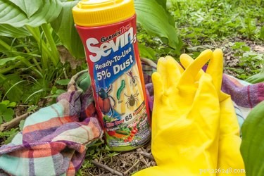 Eliminate Fleas Safely with Sevin: Outdoor Pest Control for Your Pets