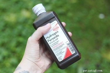 Inducing Vomiting in Dogs with Hydrogen Peroxide: A Vet-Approved Guide