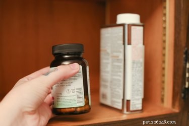Inducing Vomiting in Dogs with Hydrogen Peroxide: A Vet-Approved Guide