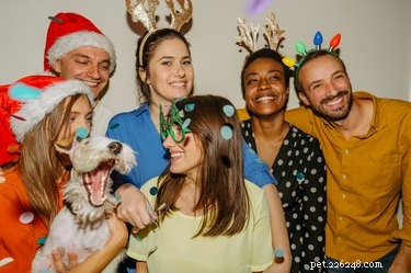12 Charming Pets Welcoming the New Year with Joy