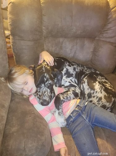 Adorable Sleeping Dog Photos: Share Your Pups’ Sweet Dreams