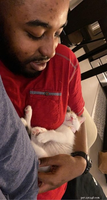 17 Adopting Pets: Their First Night in Their Forever Homes