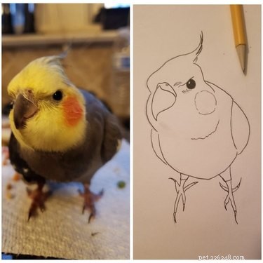 15 Pets Eager for Their Owners to Go Back to Work