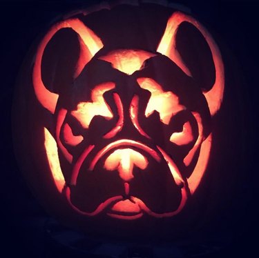 Dog-o-Lanterns: The Safe, Adorable Halloween Trend for Your Dog