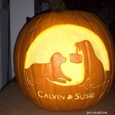 Dog-o-Lanterns: The Safe, Adorable Halloween Trend for Your Dog