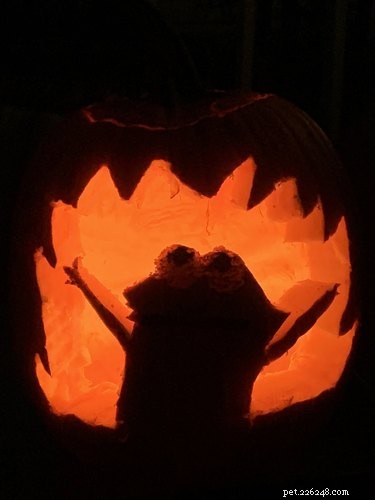 Dog-o-Lanterns: The Safe, Adorable Halloween Trend for Your Dog