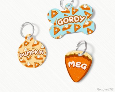 7 Must-Have Fall Dog Toys & Accessories Your Pup Will Love