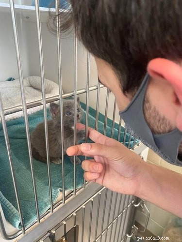 22 Heartwarming Pet Adoption Photos That Will Melt Your Heart
