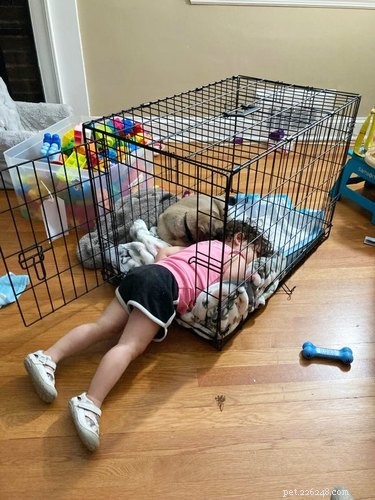 22 Heartwarming Pet Adoption Photos That Will Melt Your Heart