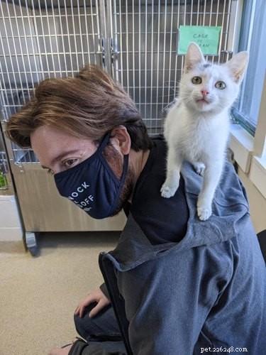 22 Heartwarming Pet Adoption Photos That Will Melt Your Heart