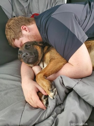 22 Heartwarming Pet Adoption Photos That Will Melt Your Heart