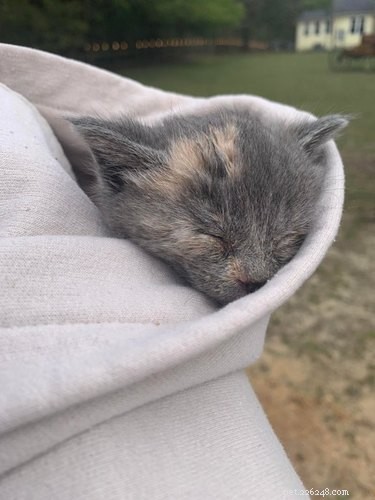 22 Heartwarming Pet Adoption Photos That Will Melt Your Heart