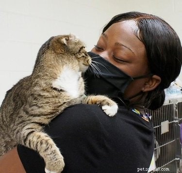 22 Heartwarming Pet Adoption Photos That Will Melt Your Heart