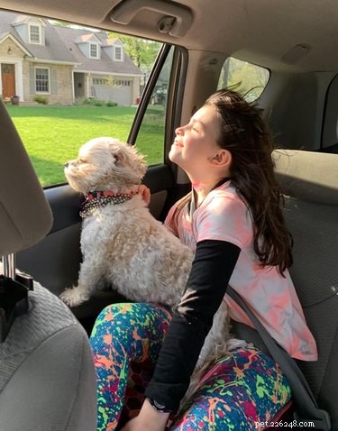 20 Dogs Living Life to the Fullest: Heartwarming Moments