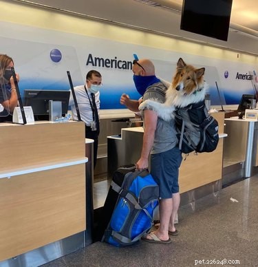 17 Adorable Pets That Will Melt Your Heart