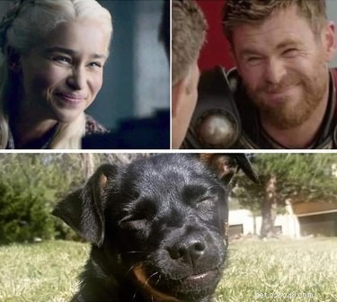 17 Adorable Pets That Will Melt Your Heart