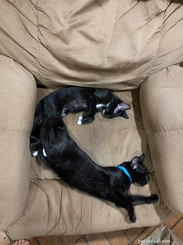 17 Adorable Pets That Will Melt Your Heart